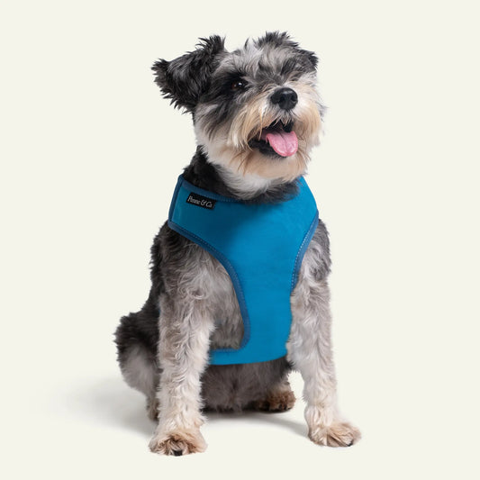 Richmond Harness Richmond Harness