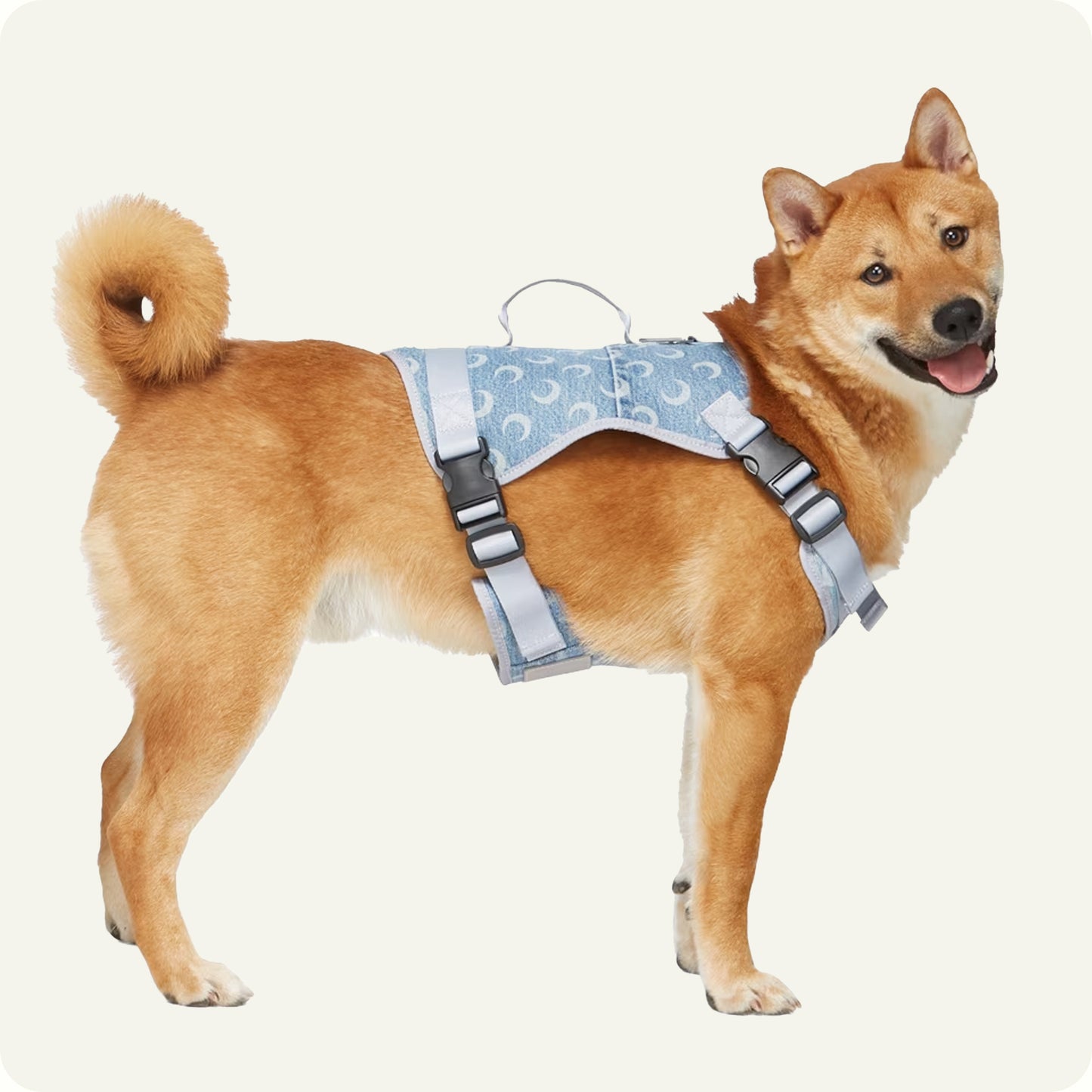 Richmond Harness