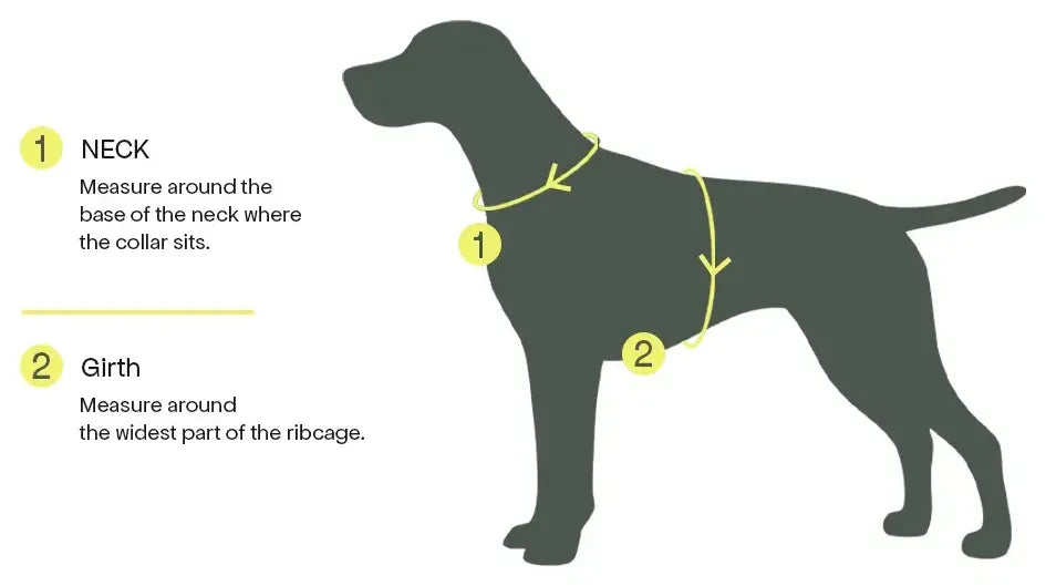 Measure the neck around the base where the collar sits, and the girth around the widest part of the ribcage