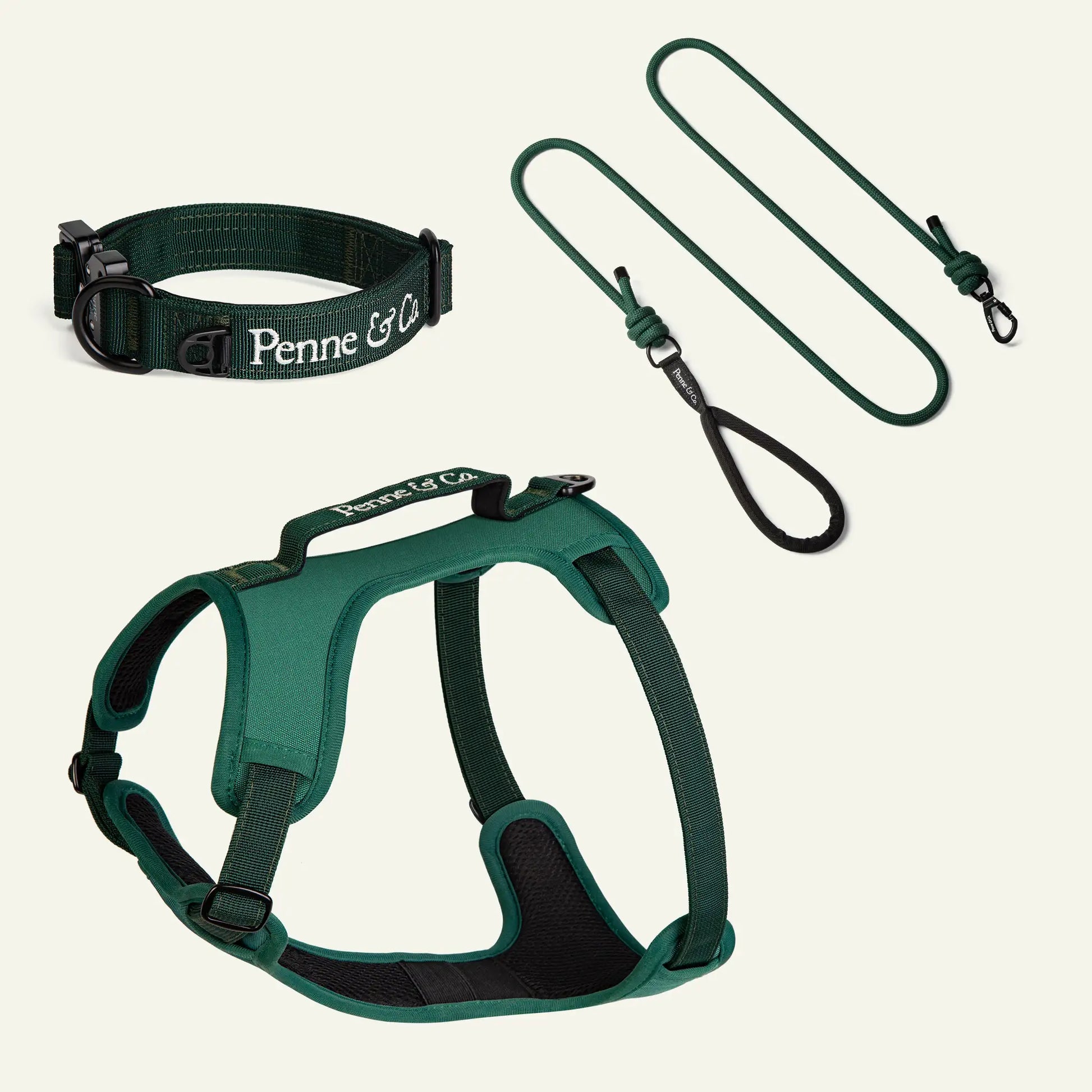 Green dog harness, collar, and leash set with 'Penne & Co' branding on an off white background.