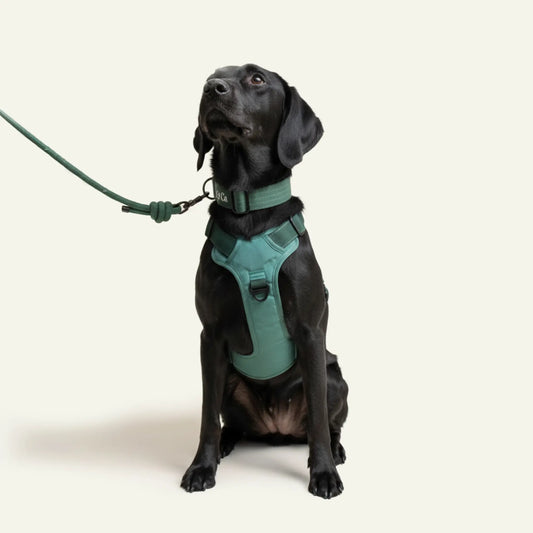 Brecon Adventure Set - Aston Green