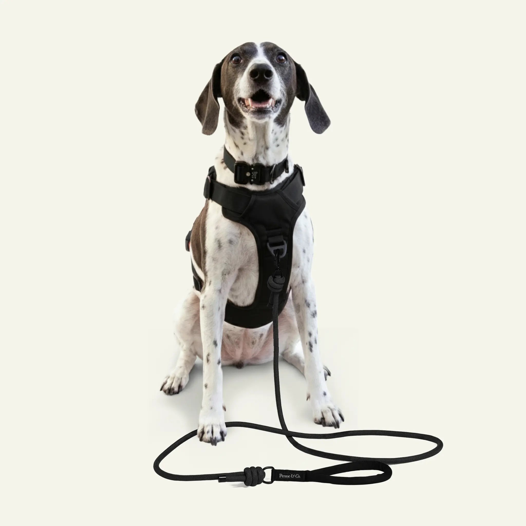 Brecon Adventure Set - Lotus Black