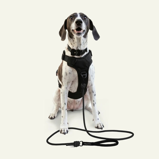 Brecon Adventure Set - Lotus Black