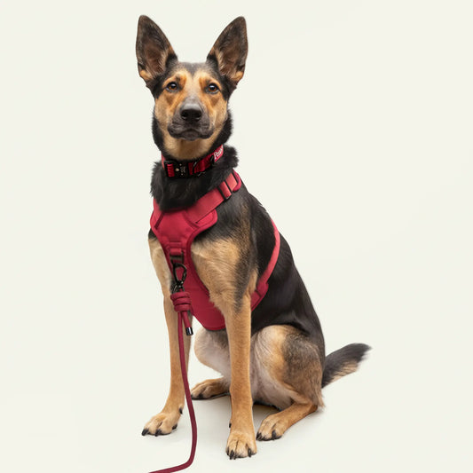 Brecon Adventure Set - Manzoni Red