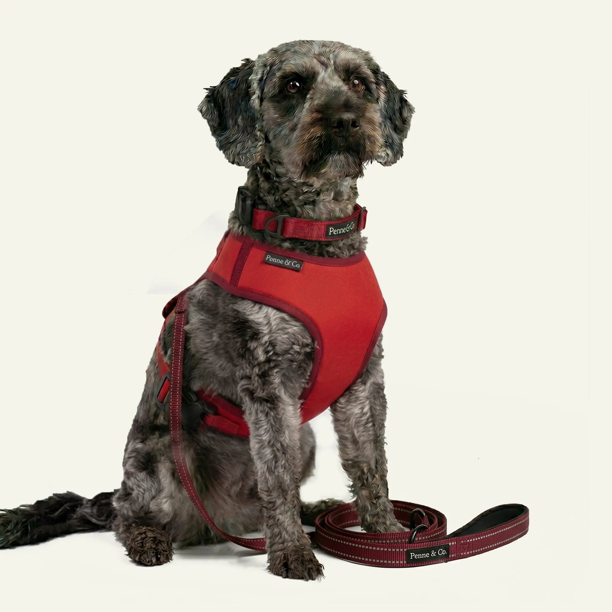 Richmond Everyday Set - Manzoni Red