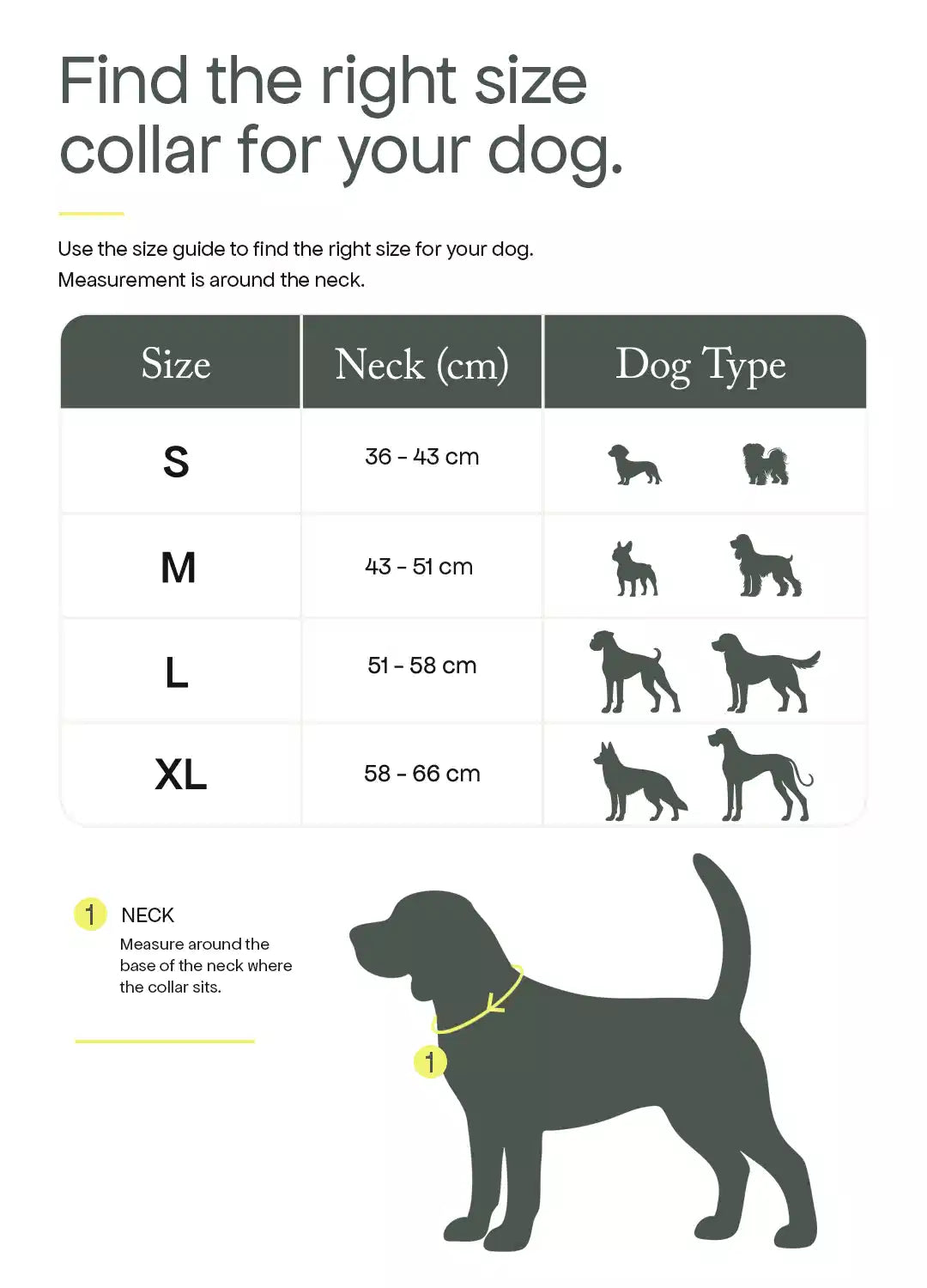 Find your dog's size