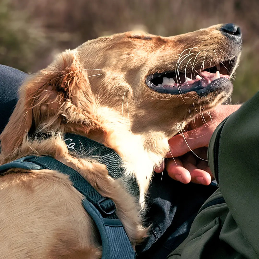 Comfort Comes Standard