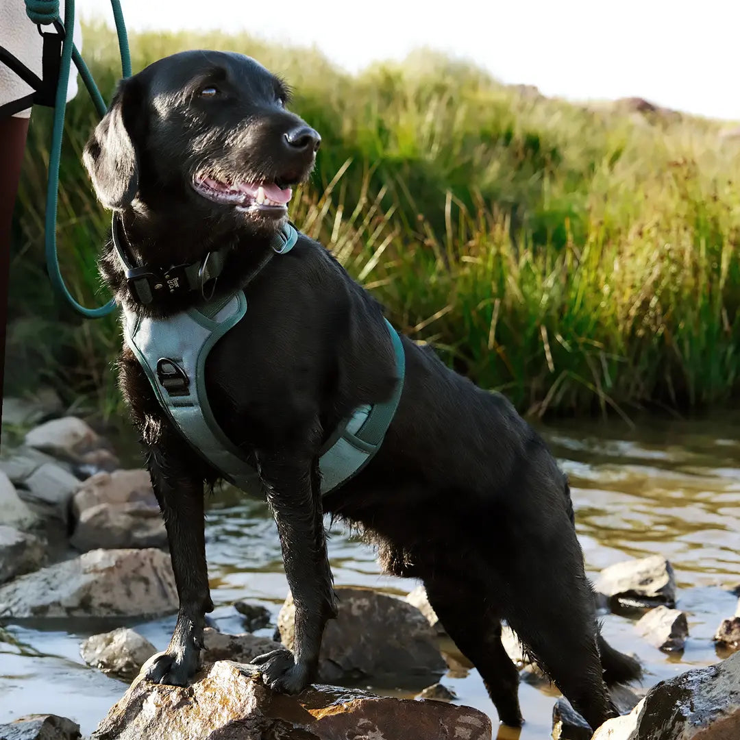 Durable From Core to Finish