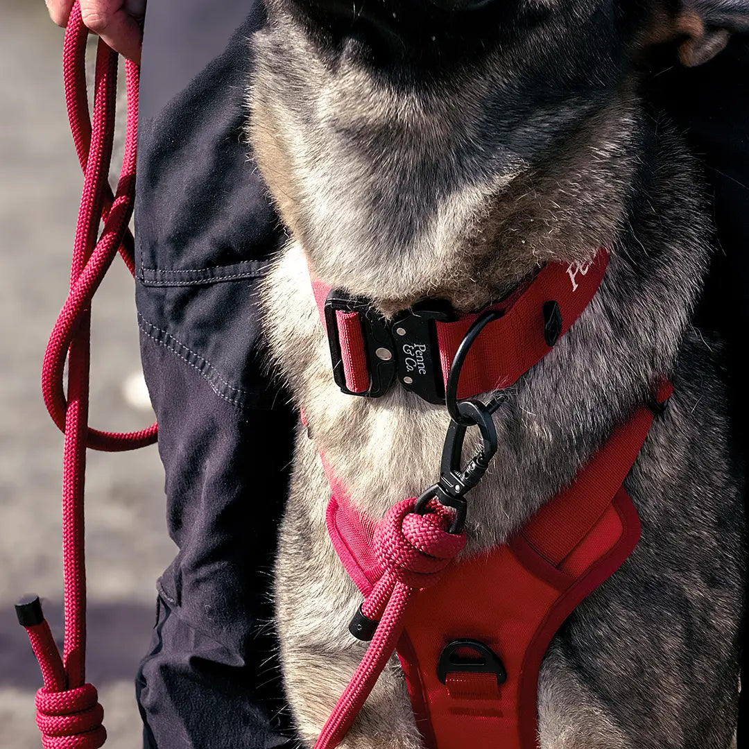 Military-Grade Strength