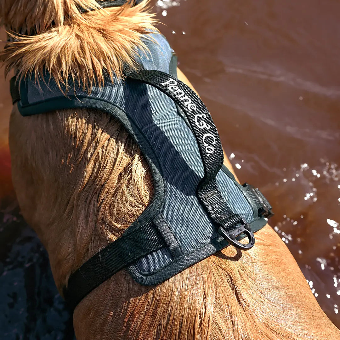 Adventure-Ready Design