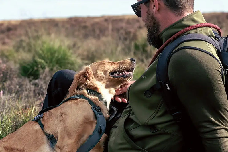 Designed by Dog Owners