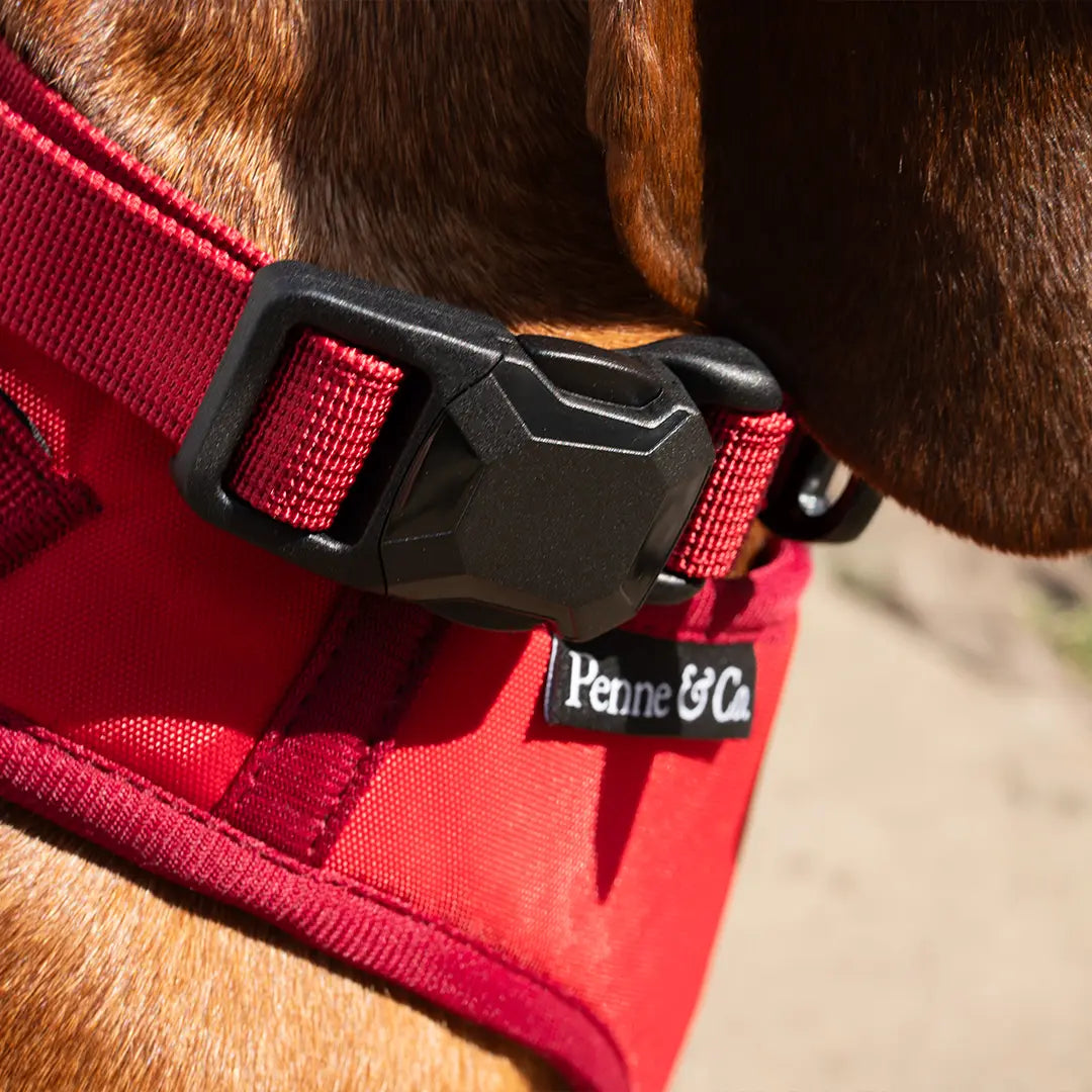 Flexible, Everyday Construction