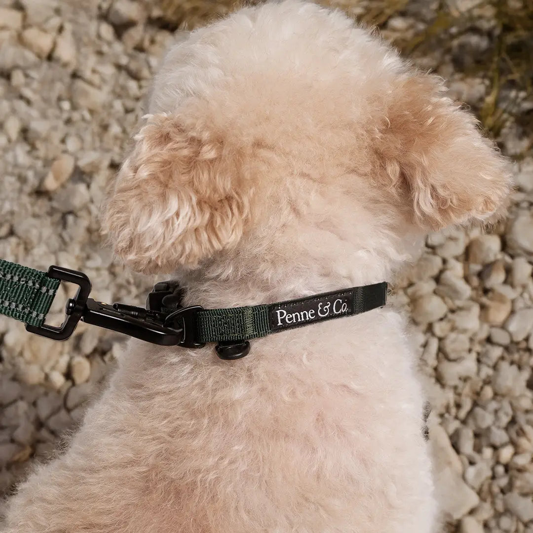 Made to Match Your Routine