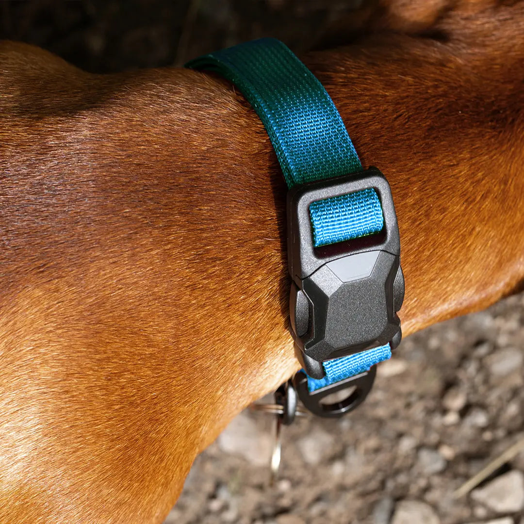 Magnetic Buckle, Easy Fit