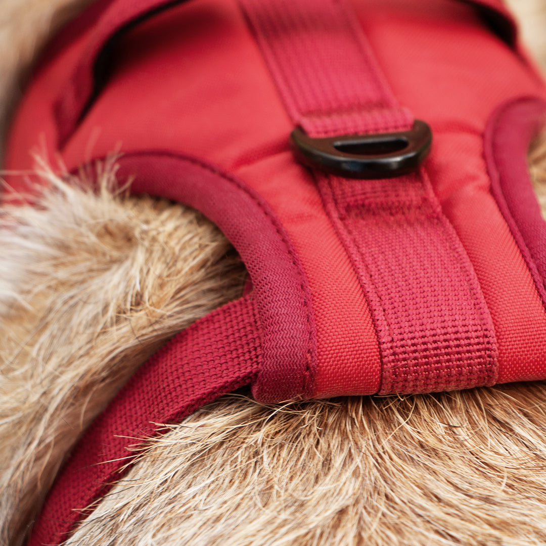 Comfortable Where It Counts