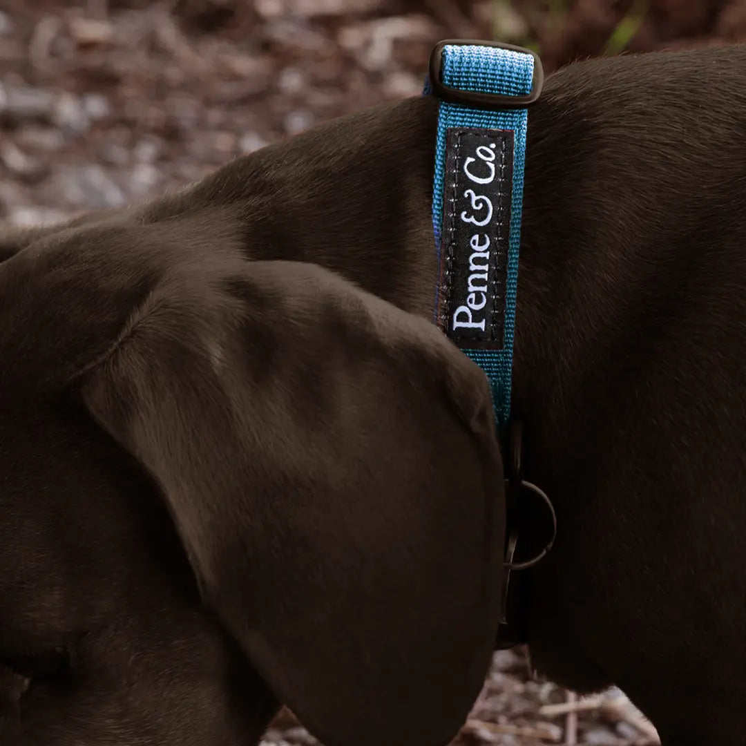 Designed for Clean Simplicity