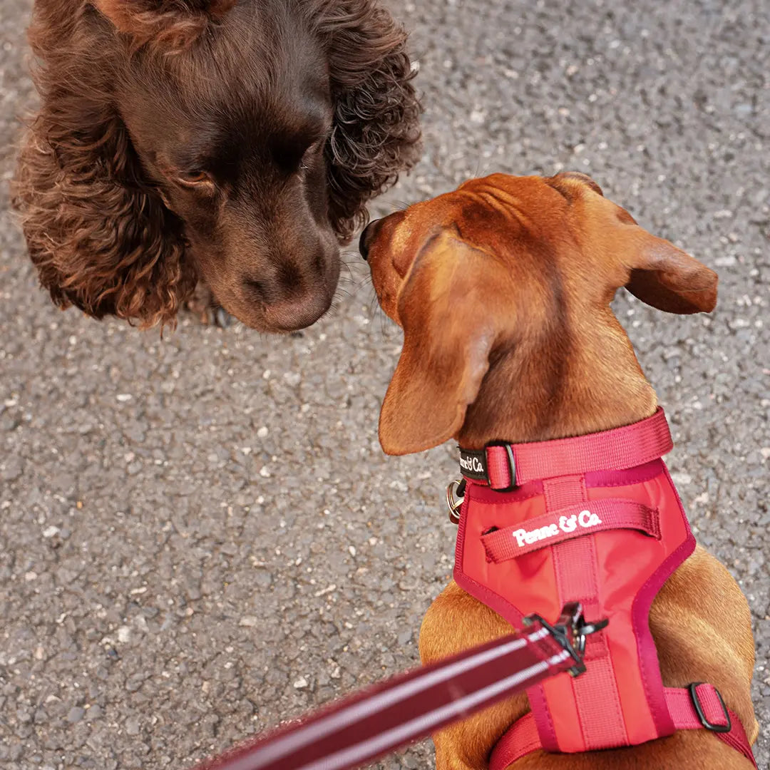 Style Without Shouting