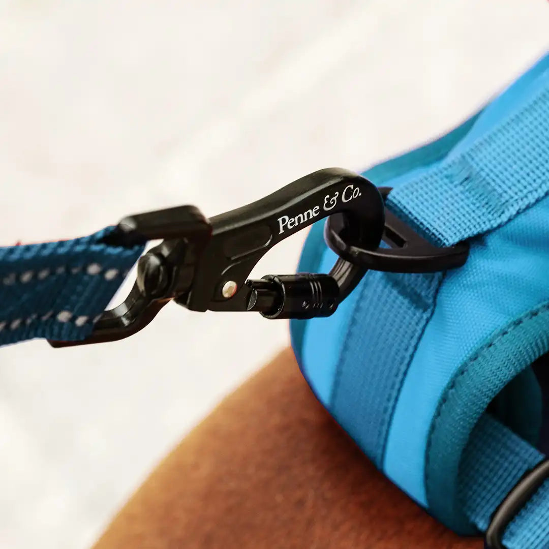 A Clip That Holds Firm