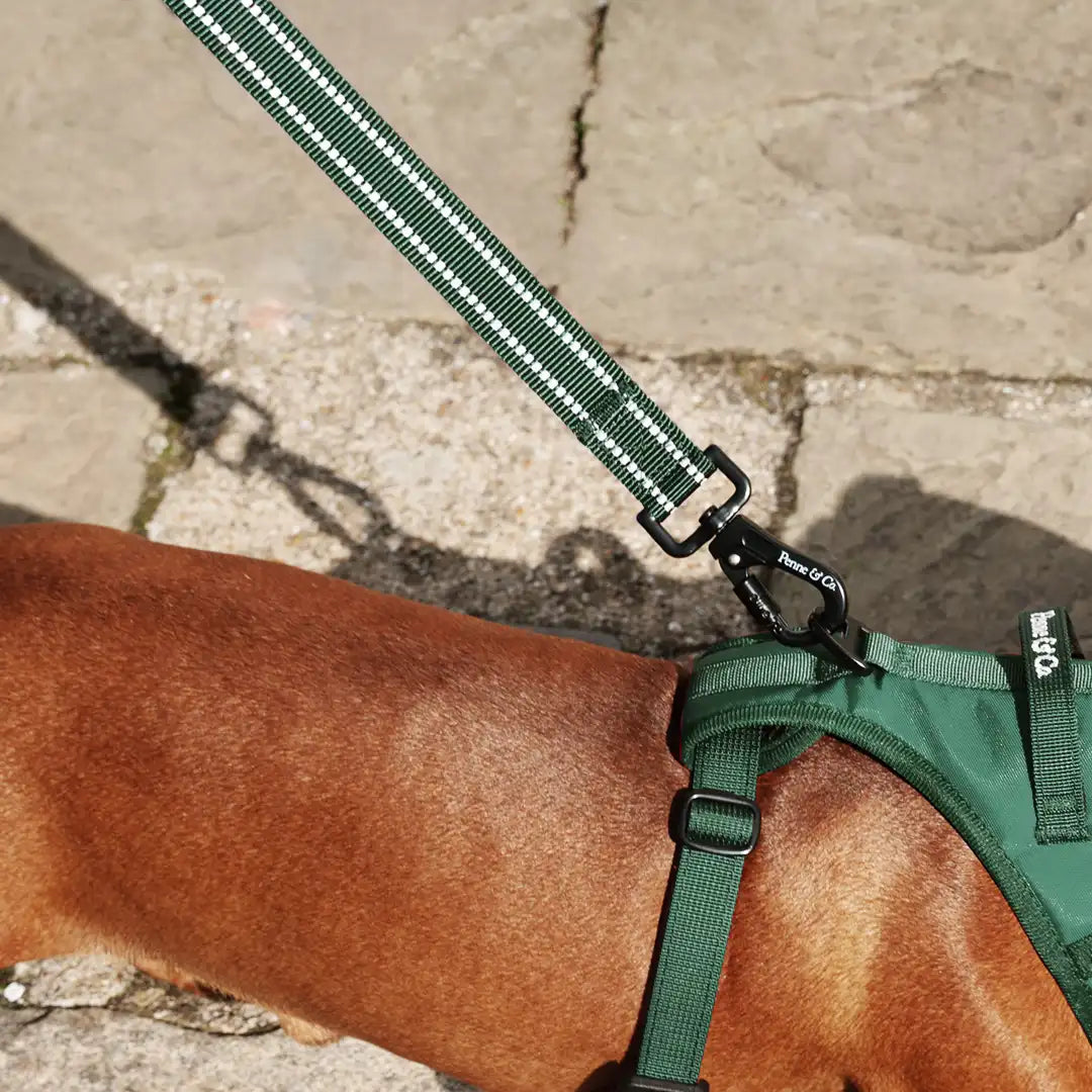 Close Control When It Counts