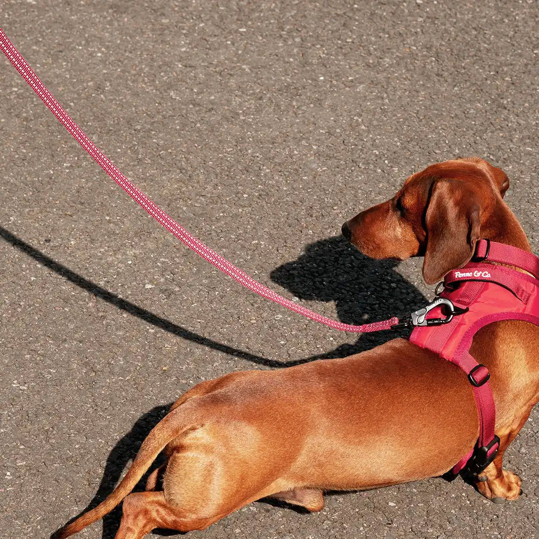 Richmond for Everyday Life