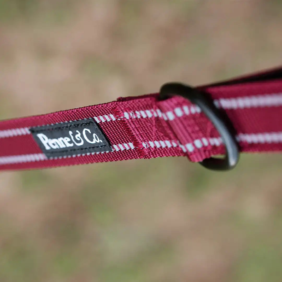 Walk Bright, Even at Night