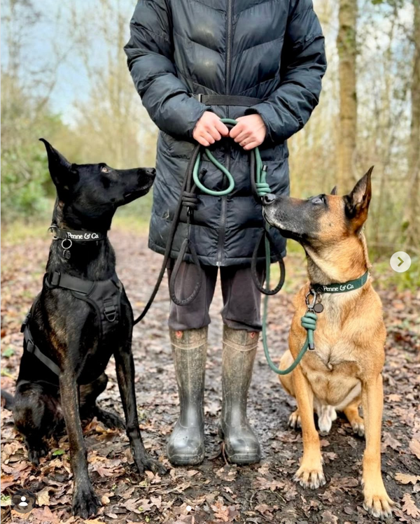 @roamingwithbrindles